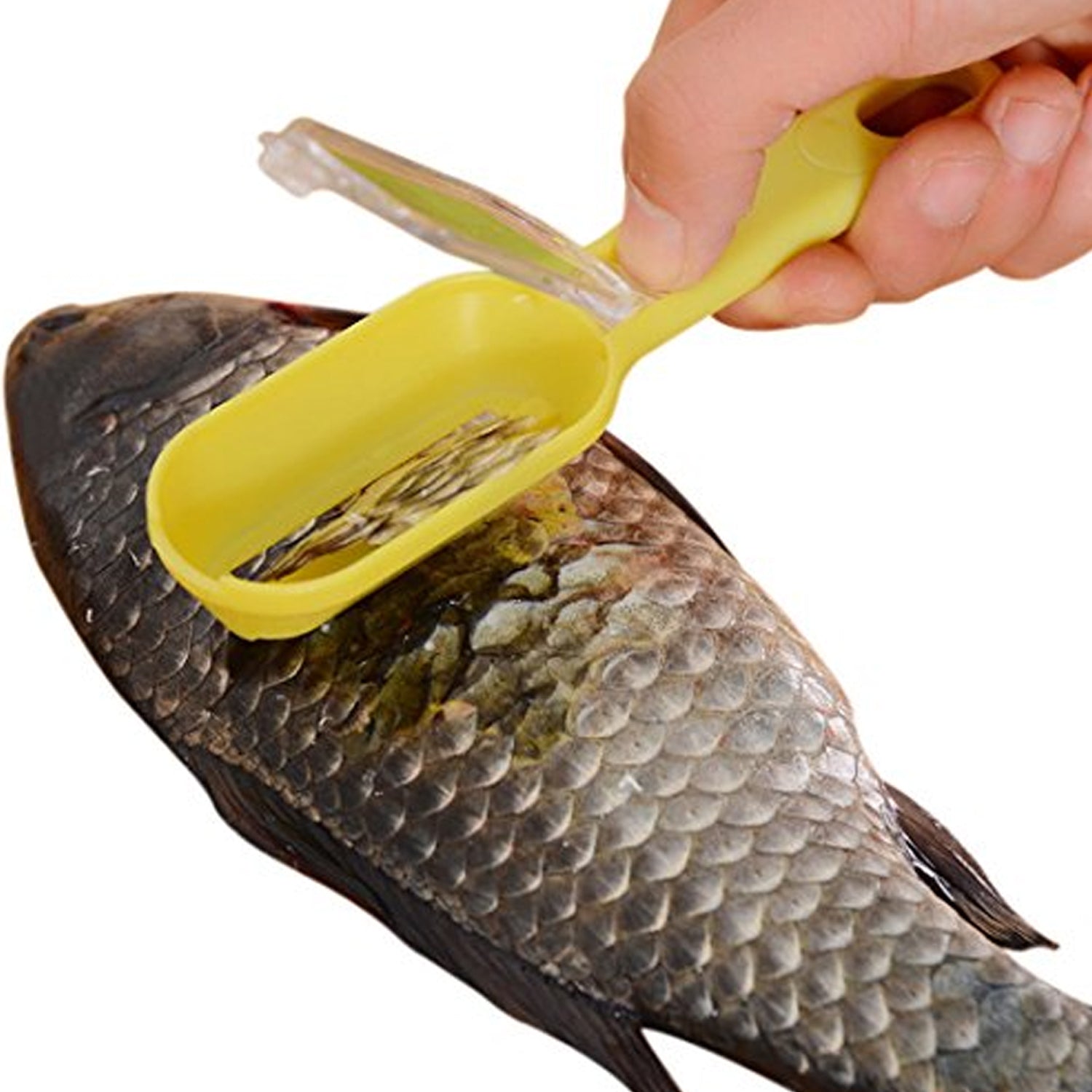 0112 Plastic Fish Scales Graters Scraper Fish Skin Brush Fish Cleaning Tool Scraping Scales Device With Cover Home Kitchen Cooking Tools 1 Pieces 0112 Plastic Fish Scales Graters Scraper Fish Skin Brush Fish Cleaning Tool Scraping Scales Device With Cover Home Kitchen Cooking Tools 1 Pieces